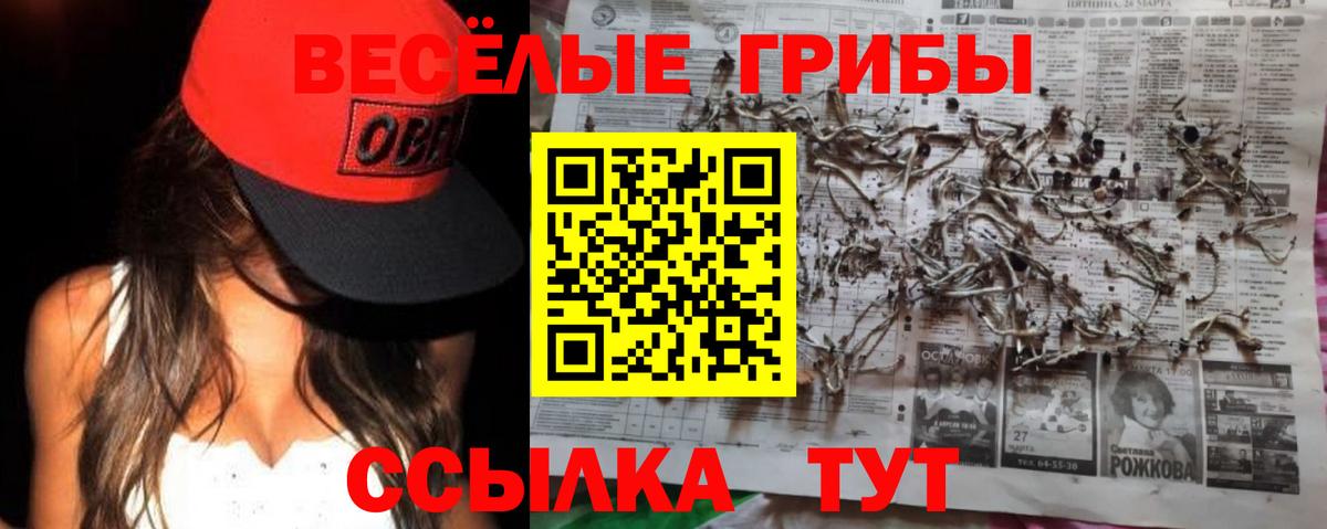 Псилоцибиновые грибы ЛСД Рыбинск